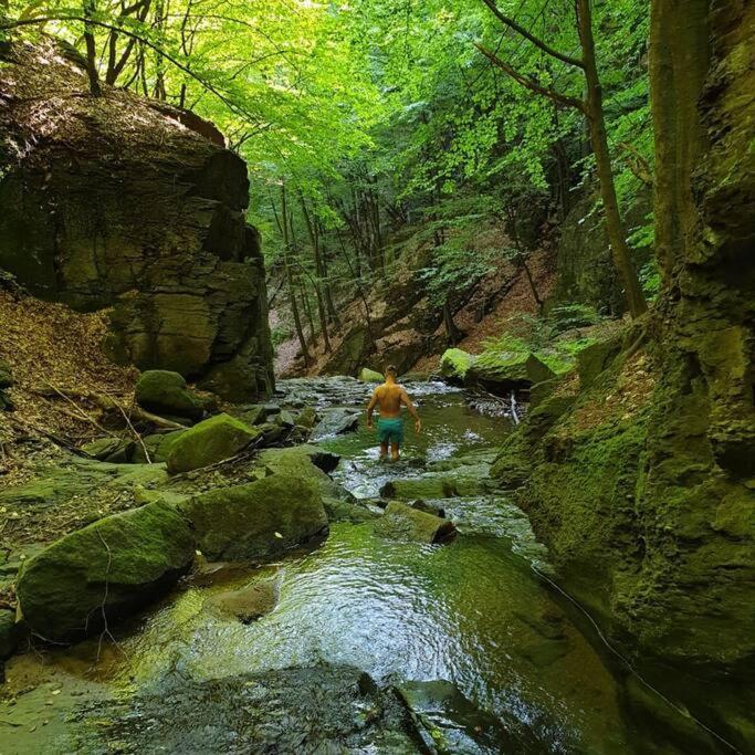 Waterfall A Frame, Maramures Baia Mare Esterno foto